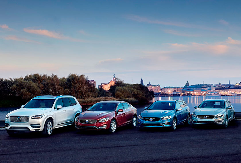 Фото новости