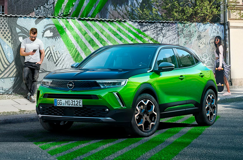 Фото новости